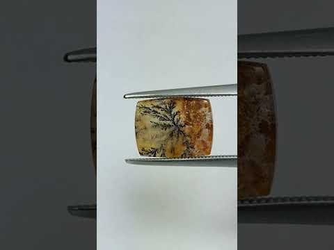 4.20ct Dendrita 11.5x9mm