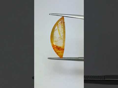 6.81ct Dendrita 25x9mm