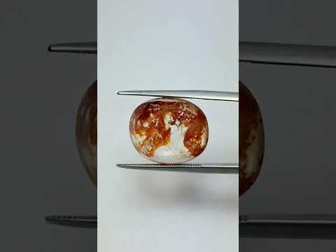 11.79ct Dendrita 17.5x14mm