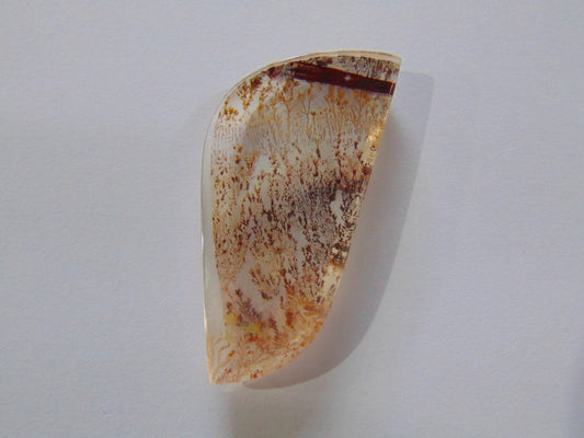 44,30ct Dendrito 43x21mm