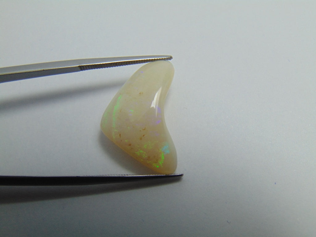 7ct Noble Opal 22x14mm