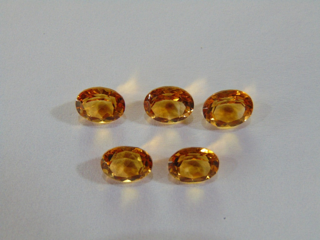 Citrino 9,10 ct (calibrado)