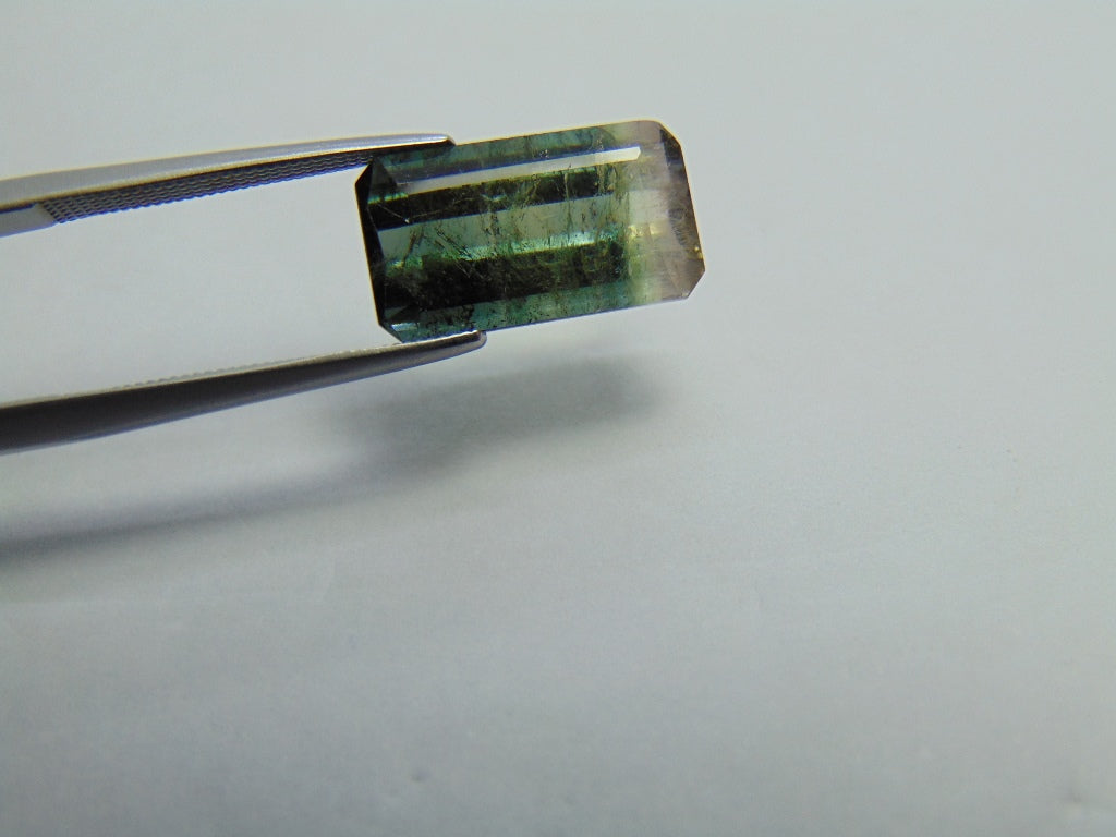 Turmalina Bicolor 6,05ct 15x8mm