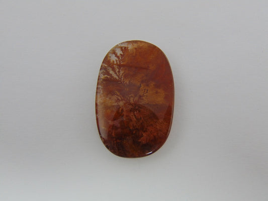 41,70cts Dendrita 34x22mm