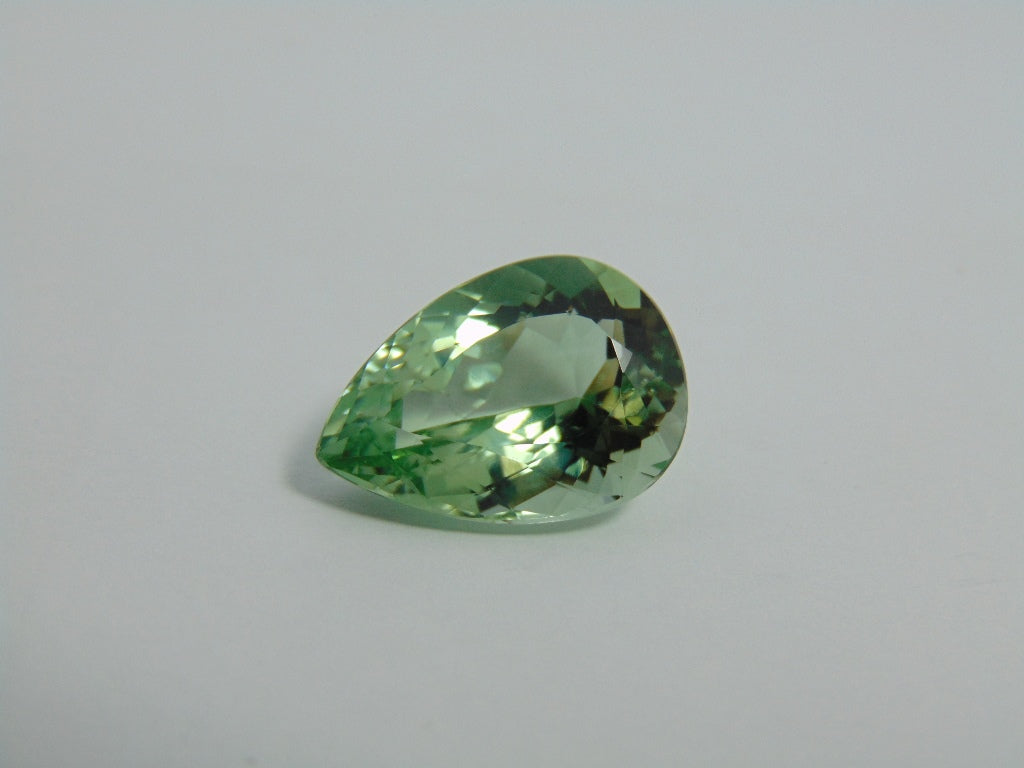 19.90cts Prasiolite