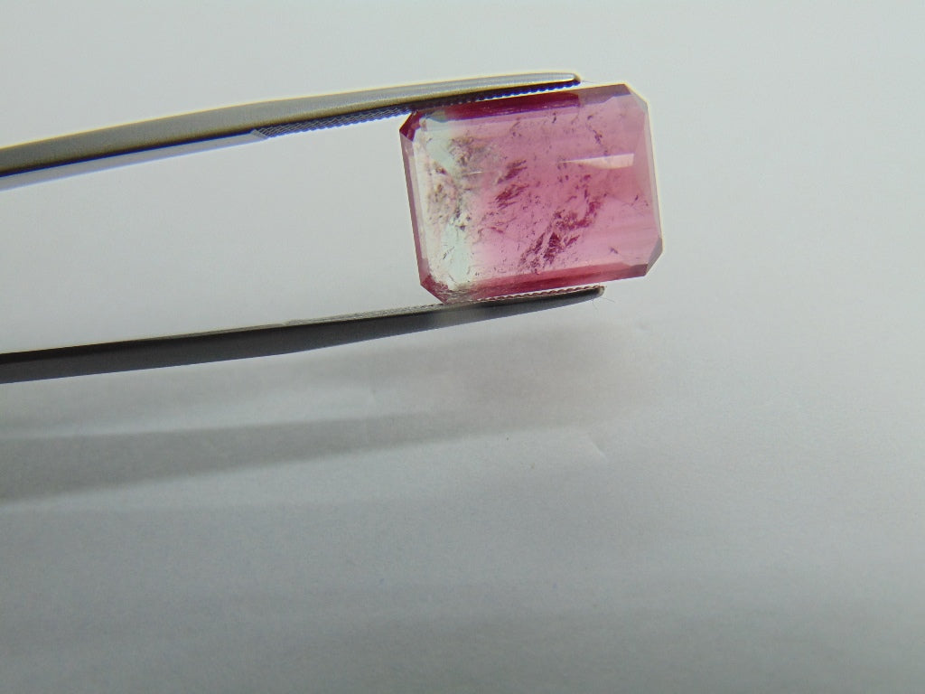 9.80ct Turmalina Bicolor 14x11mm