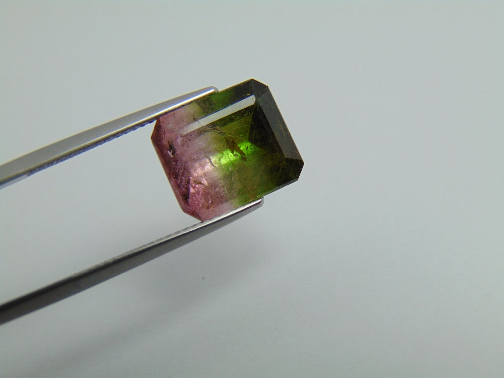 7.50cts Tourmaline (Bicolor)