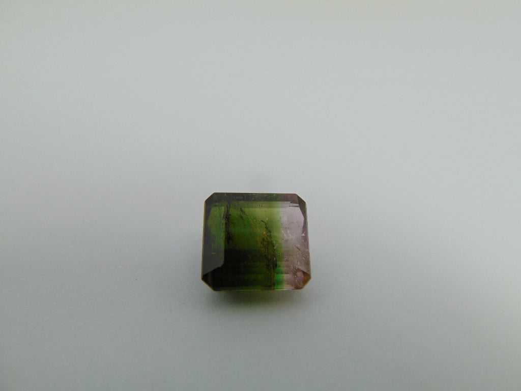 9,15cts Turmalina (Bicolor)