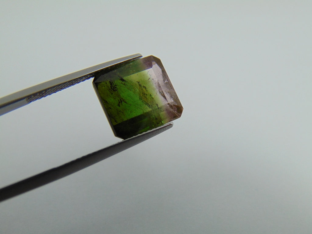 9.15cts Tourmaline (Bicolor)