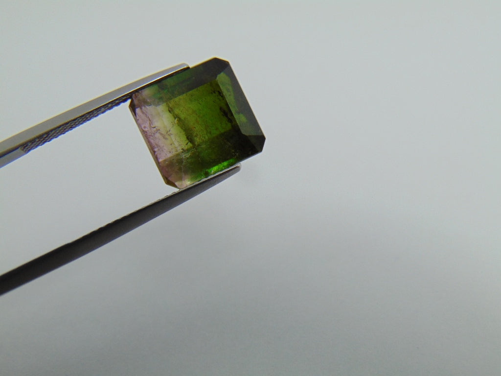 9.15cts Tourmaline (Bicolor)