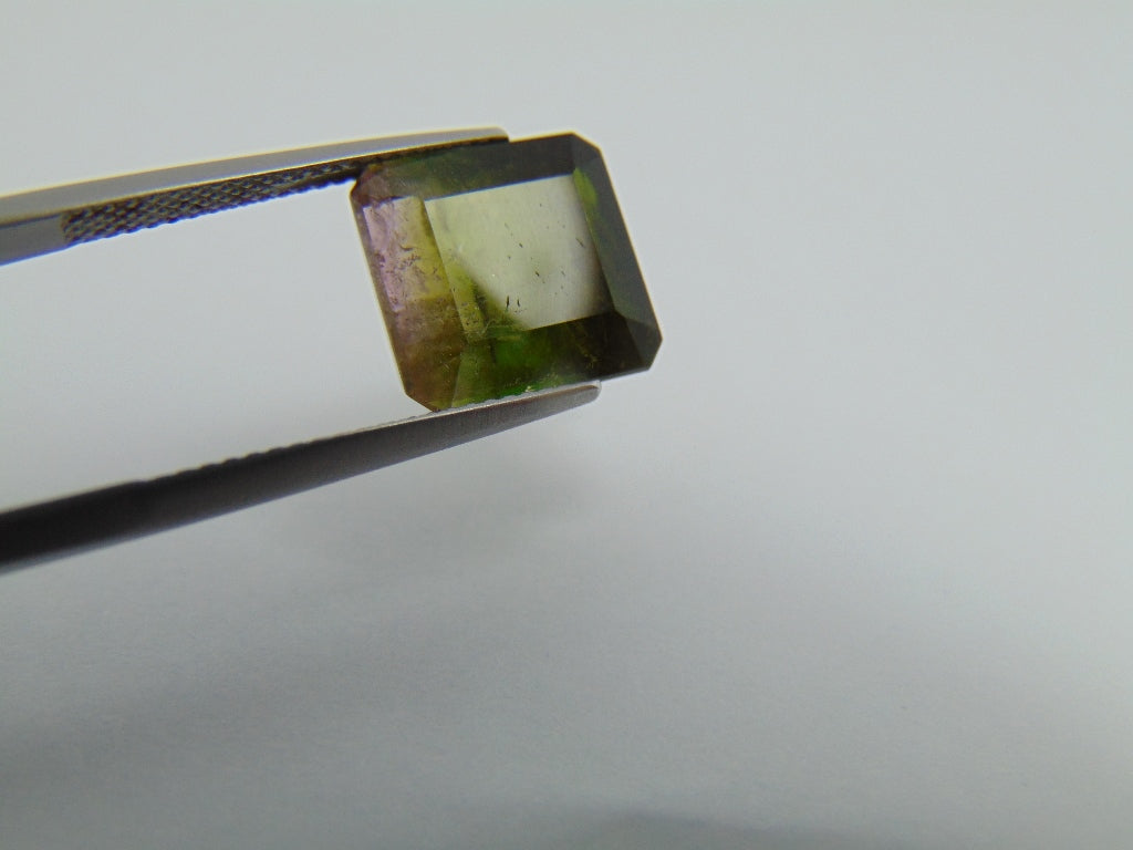 9.15cts Tourmaline (Bicolor)