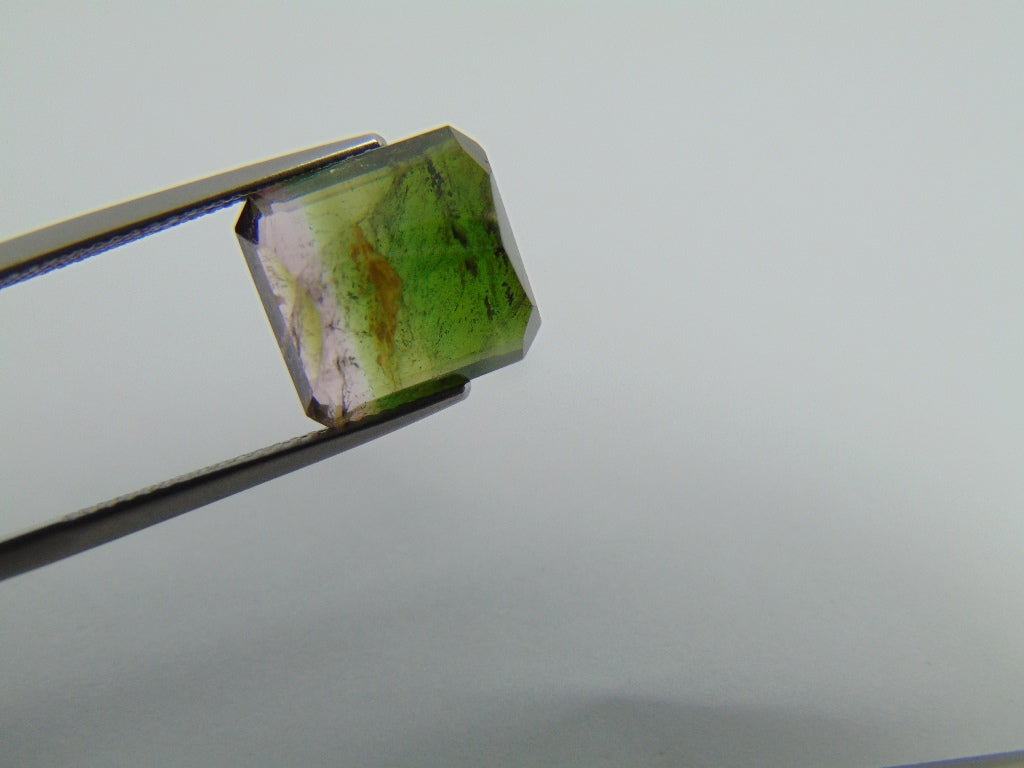 9.15cts Tourmaline (Bicolor)