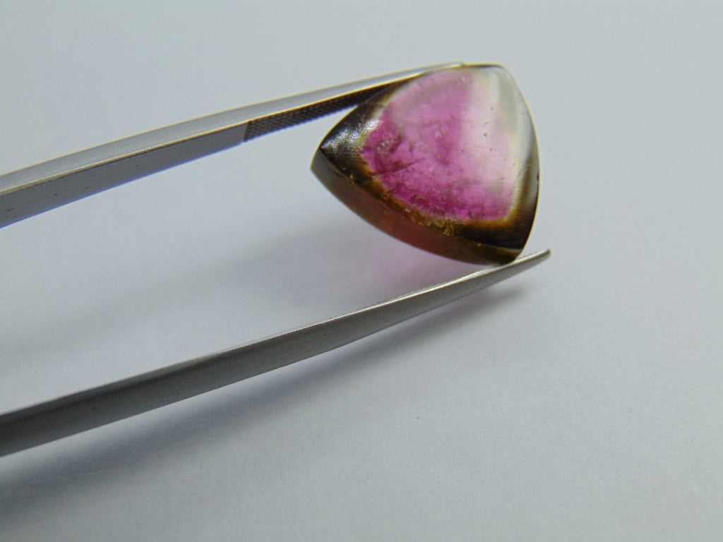 11.10ct Watermelon Tourmaline 17x15mm