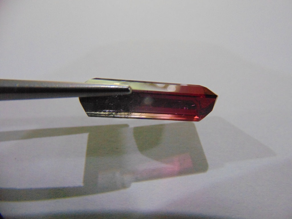 14,50ct Turmalina Bicolor 22x11mm