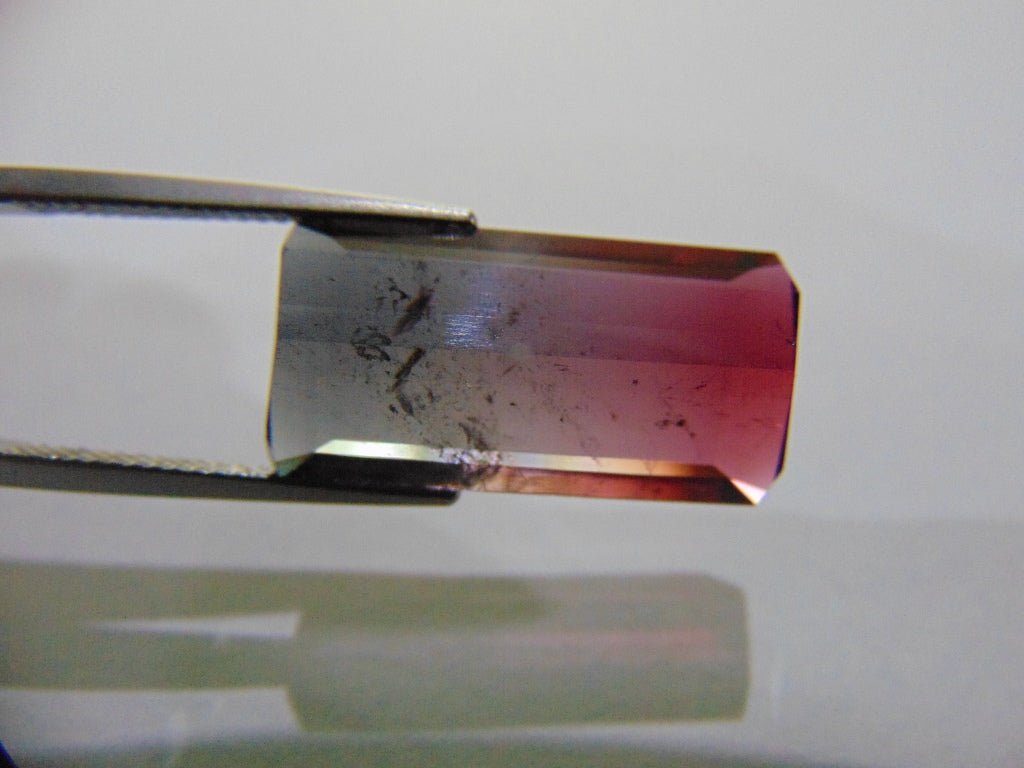 14,50ct Turmalina Bicolor 22x11mm