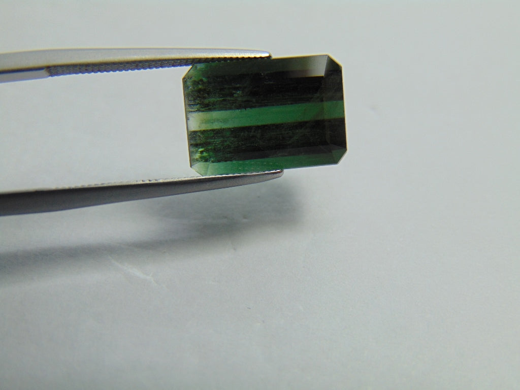 Turmalina Bicolor 6,90ct 13x9mm