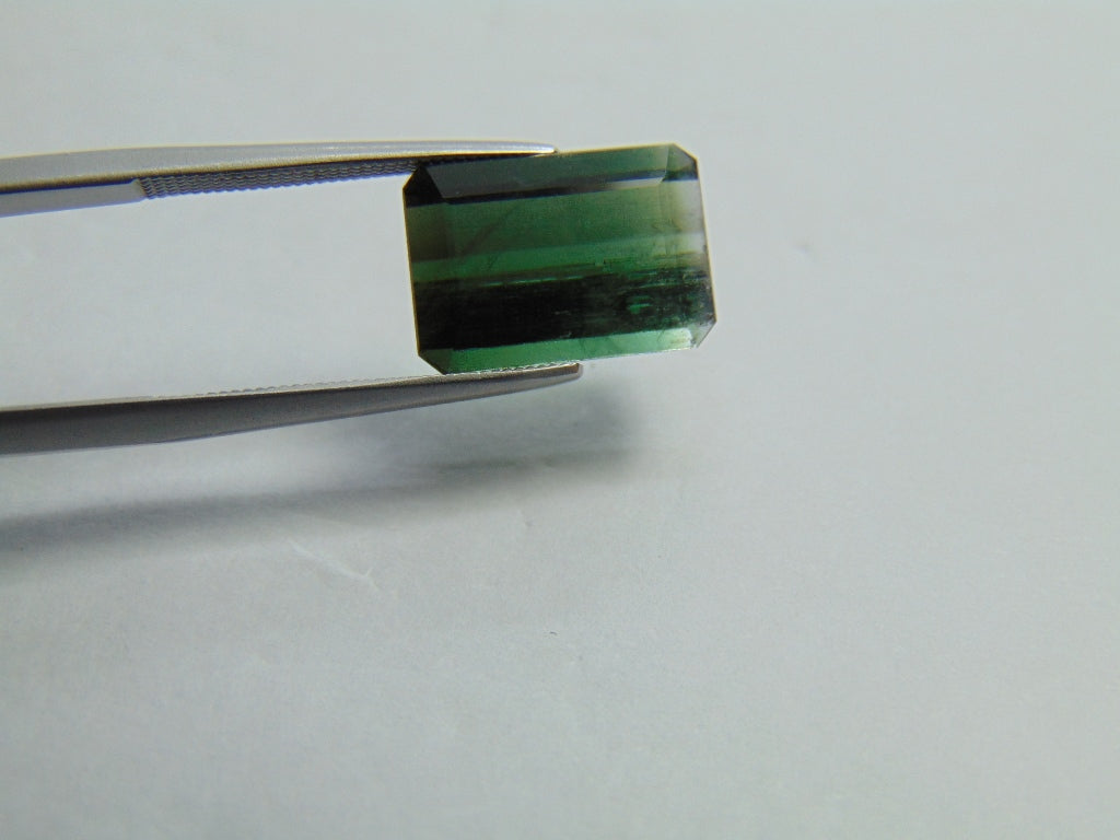 Turmalina Bicolor 6,90ct 13x9mm