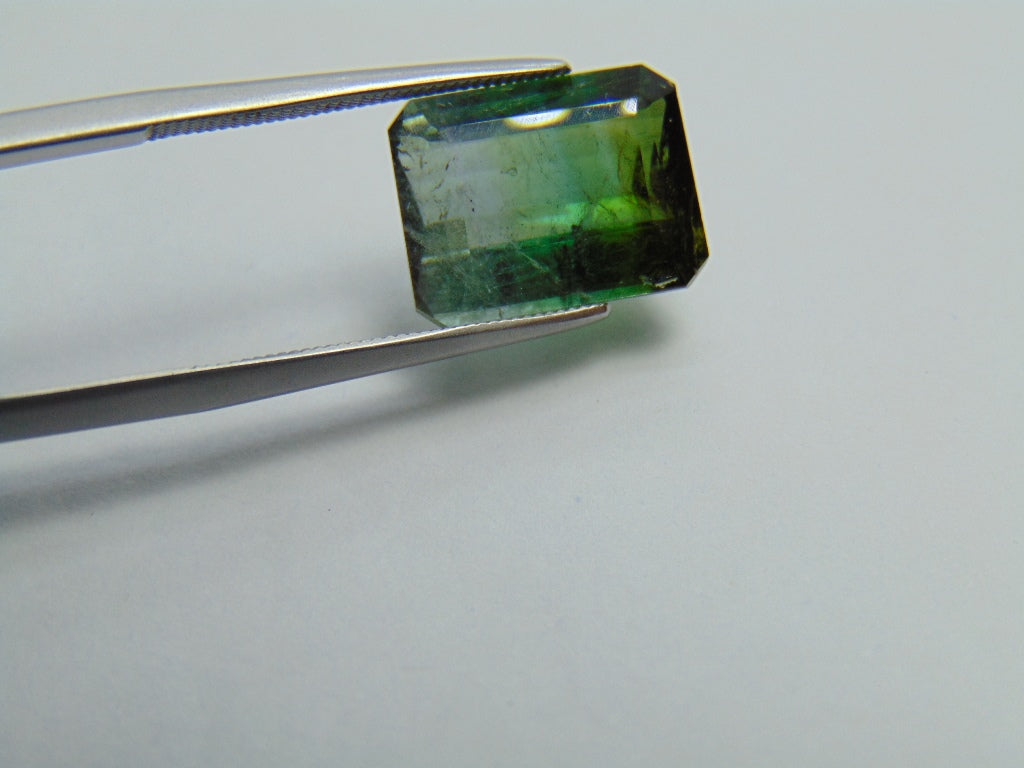 6.65ct Turmalina Bicolor 13x10mm