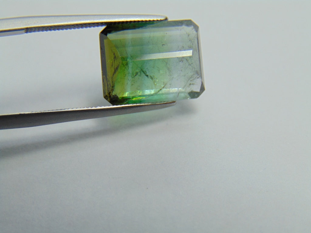 6.65ct Tourmaline bicolor 13x10mm