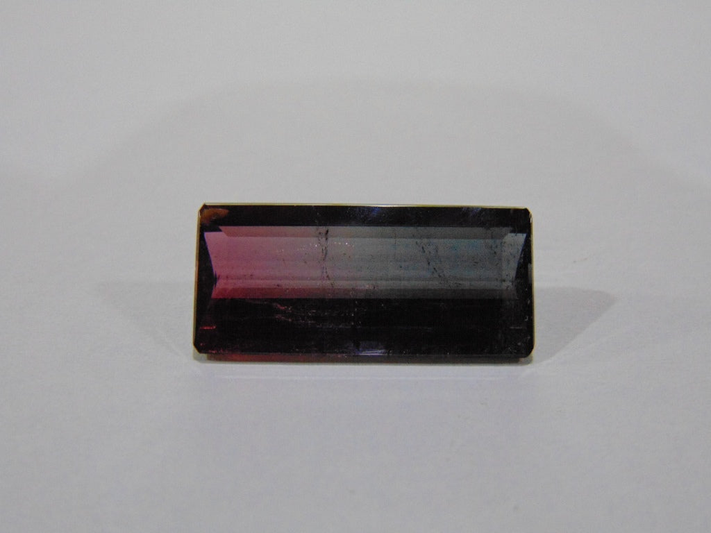 Turmalina Bicolor 12,20ct 23x10mm