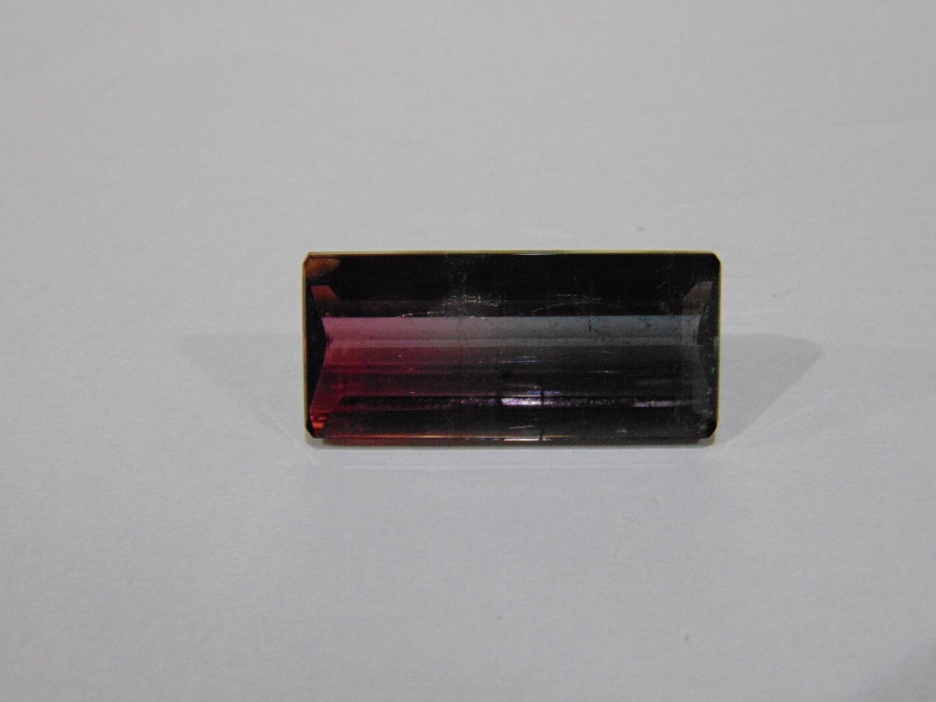 Turmalina Bicolor 12,20ct 23x10mm