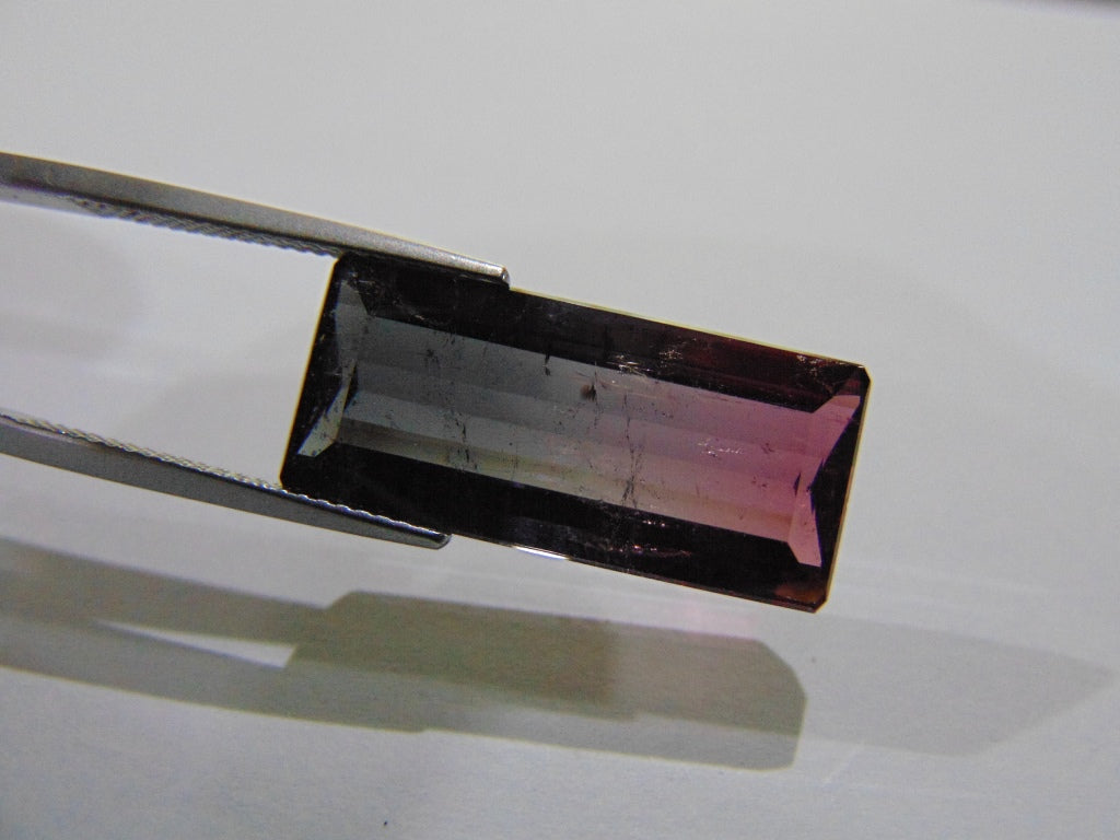 Turmalina Bicolor 12,20ct 23x10mm