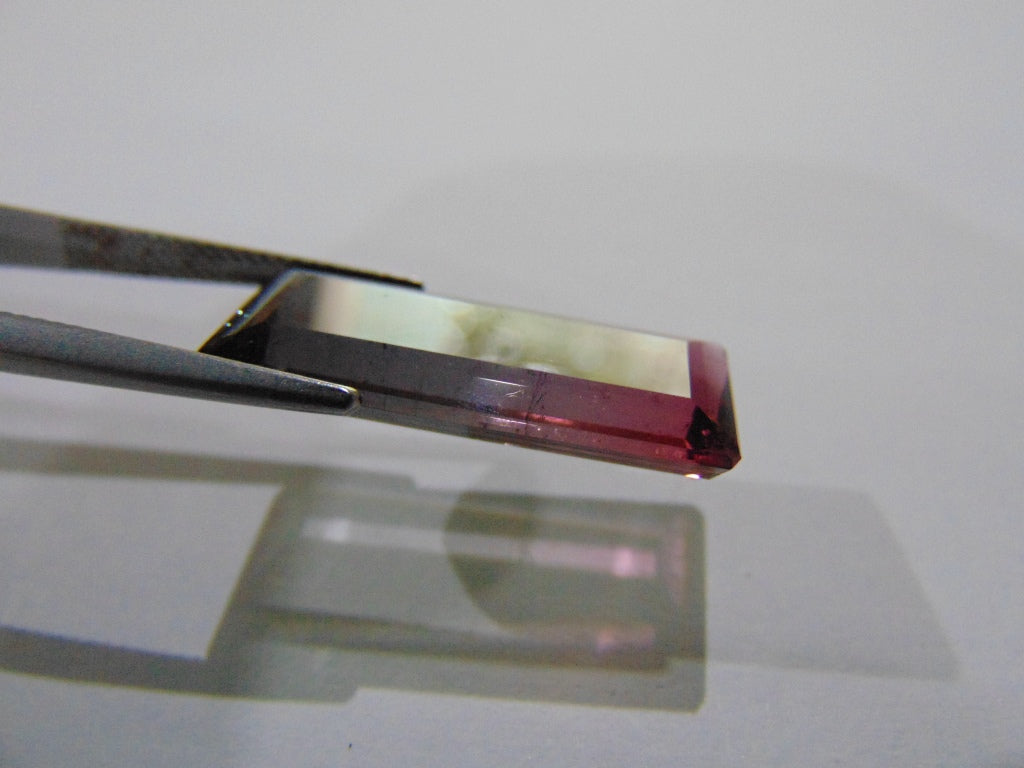 Turmalina Bicolor 12,20ct 23x10mm