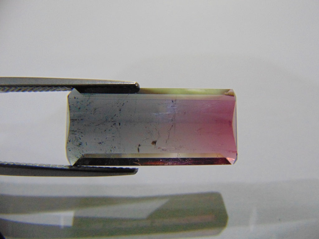 Turmalina Bicolor 12,20ct 23x10mm