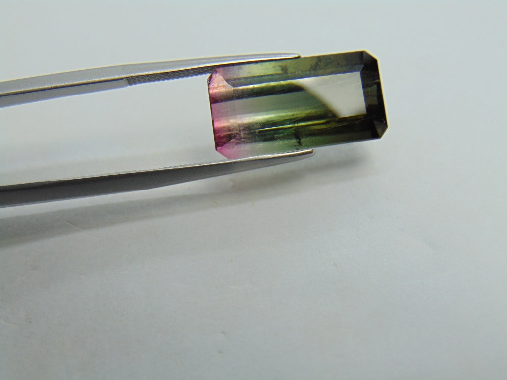 9.88ct Tourmaline Bicolor 9x8mm