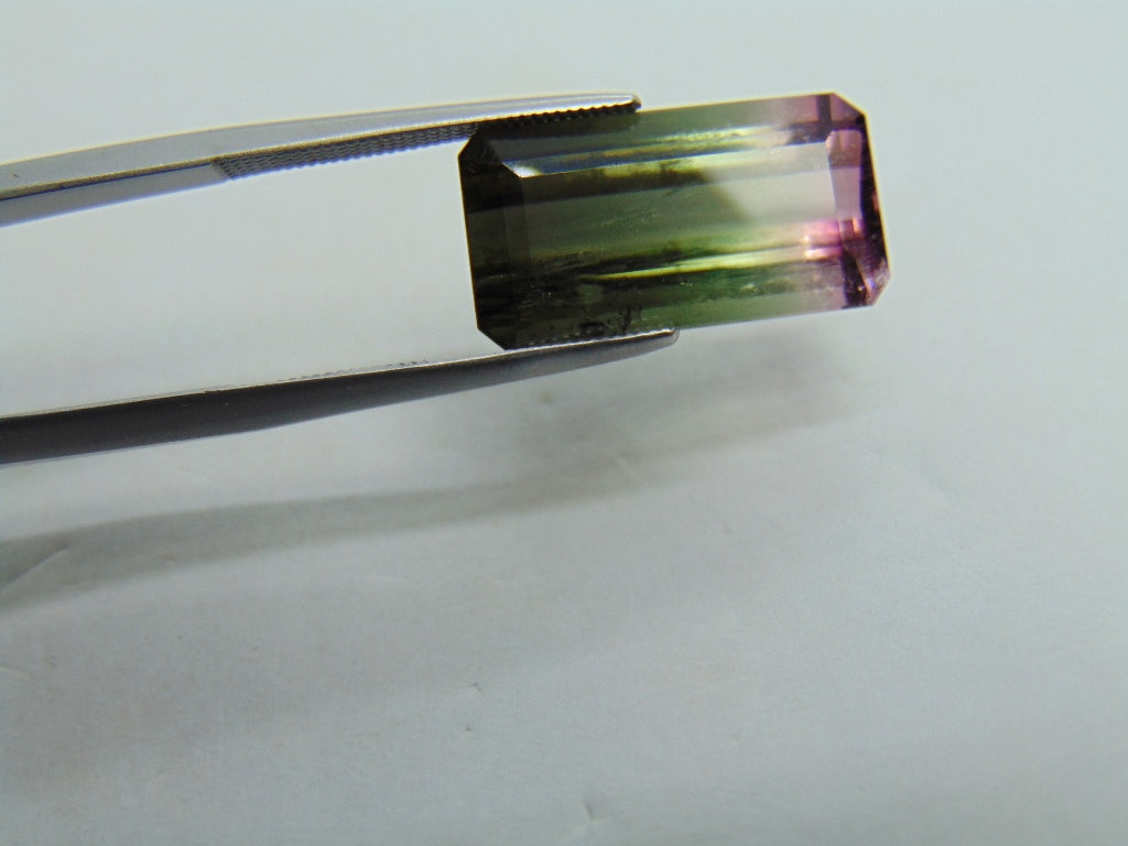 9.88ct Tourmaline Bicolor 9x8mm