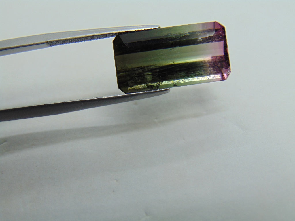 9.88ct Tourmaline Bicolor 9x8mm