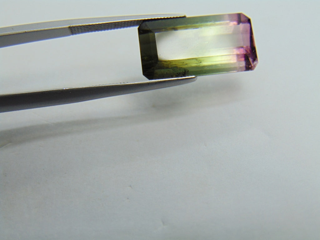 9,88ct Turmalina Bicolor 9x8mm