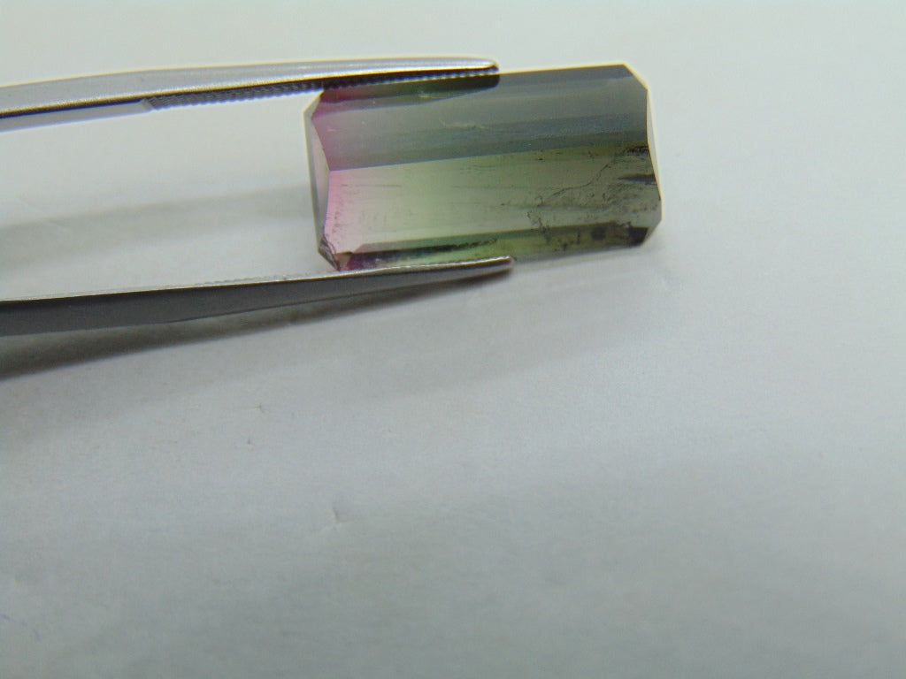 9.88ct Tourmaline Bicolor 9x8mm