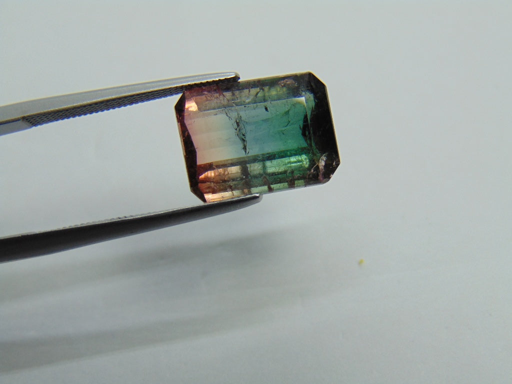 5.99ct Turmalina Bicolor 13x9mm