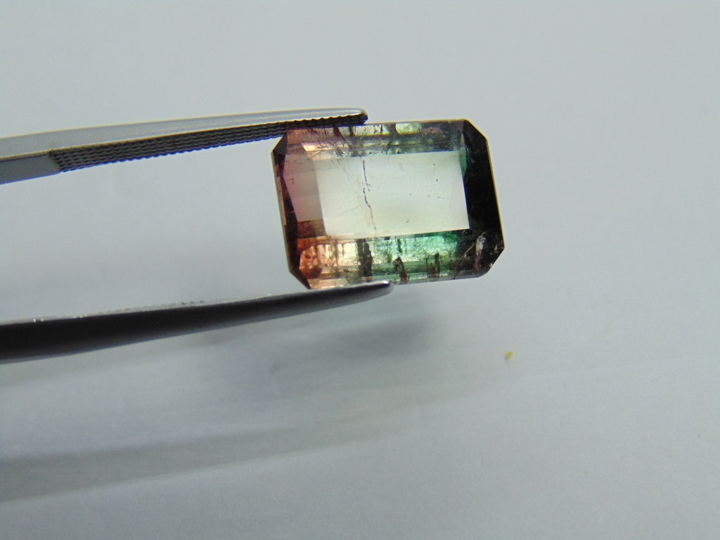 5.99ct Turmalina Bicolor 13x9mm