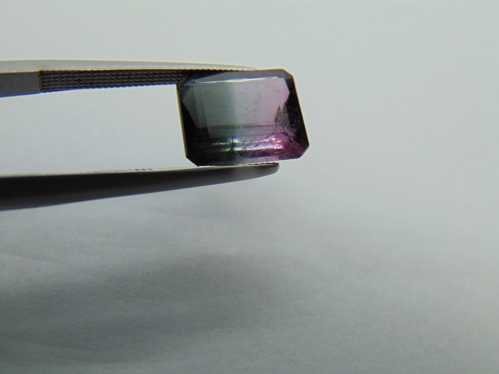 3.50cts Tourmaline (Bicolor)