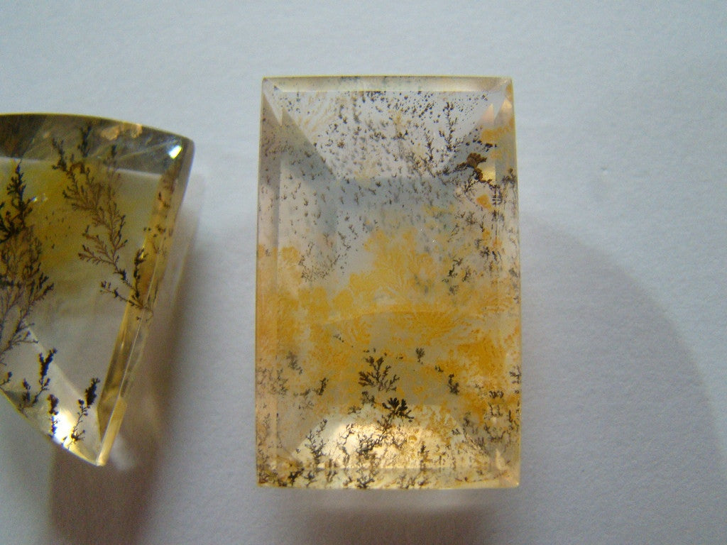 87ct Dendrite