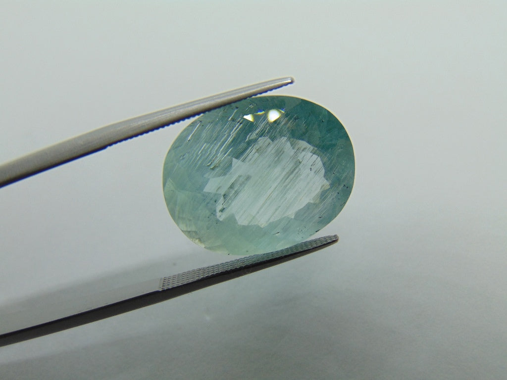 16.80ct Aquamarine With Needle 19x15mm