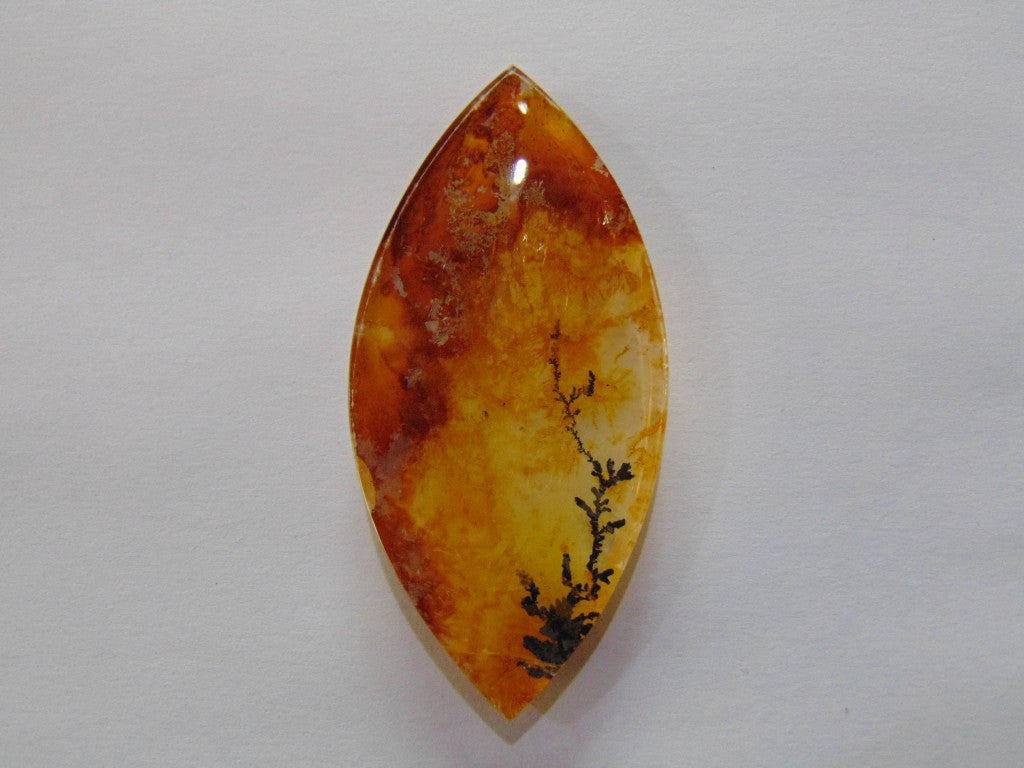 139ct Dendrite 67x33mm