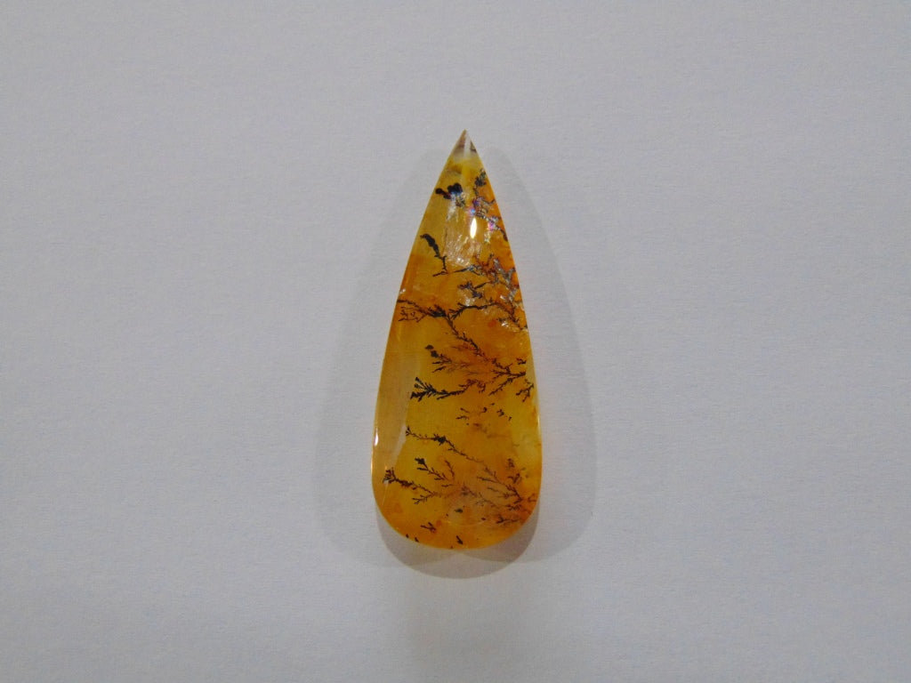 36,30ct Dendrito 44x17mm