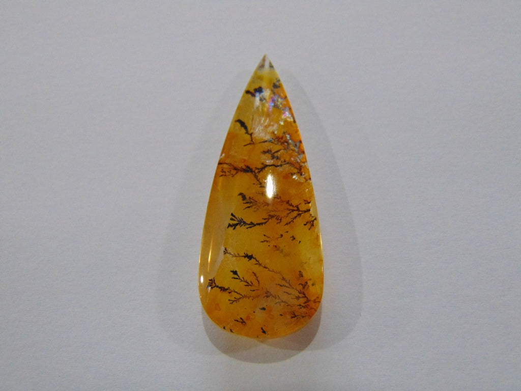 36,30ct Dendrito 44x17mm