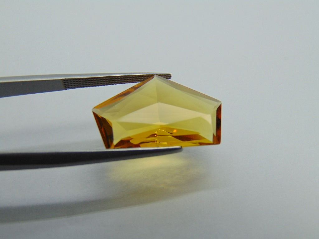 Berilo 8,50ct 21x13mm