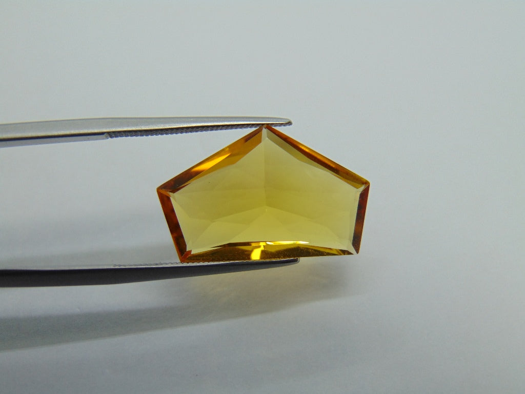 Berilo 8,50ct 21x13mm