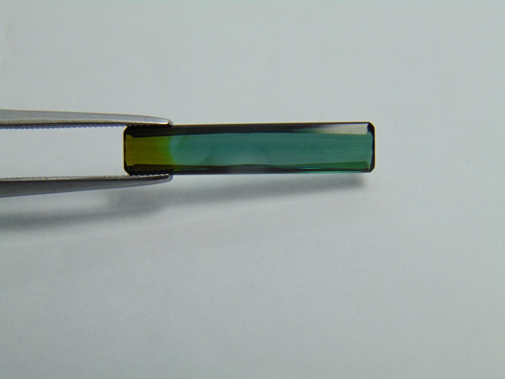 Turmalina Bicolor 2,30ct 22x4mm