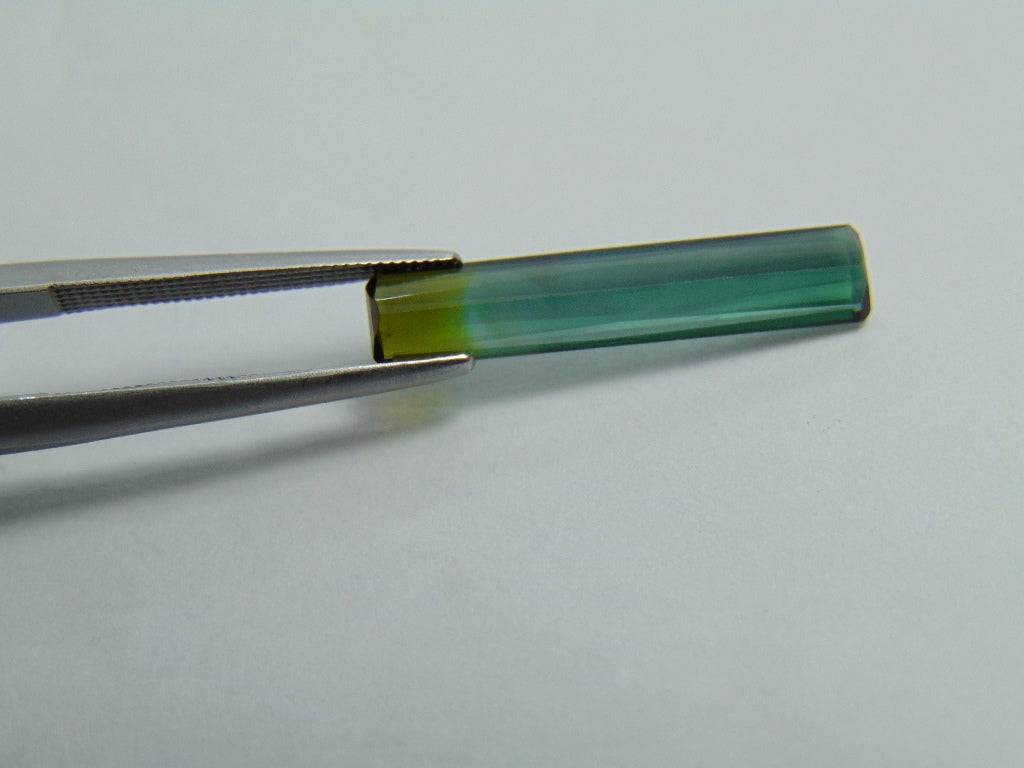 Turmalina Bicolor 2,30ct 22x4mm