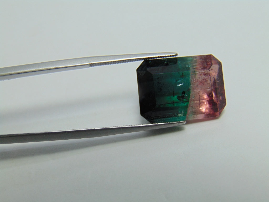 18,05ct Turmalina Bicolor 18x13mm