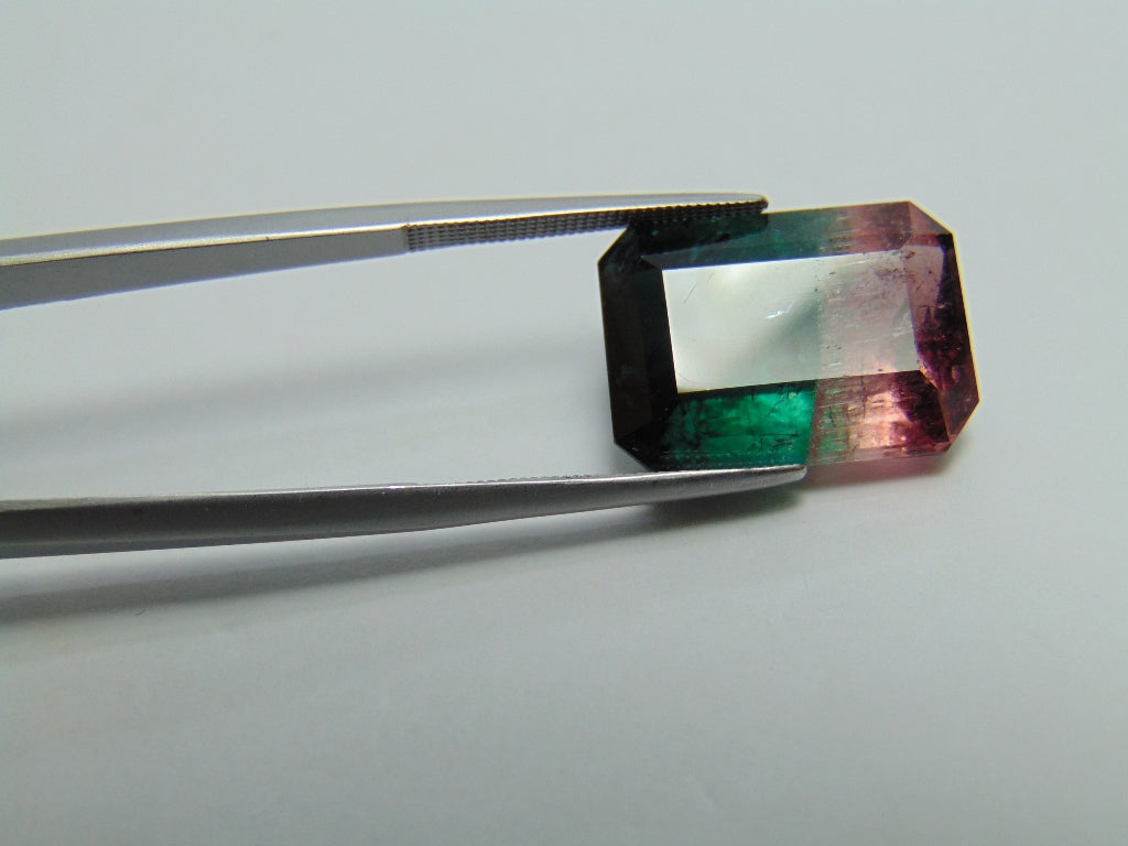 18,05ct Turmalina Bicolor 18x13mm