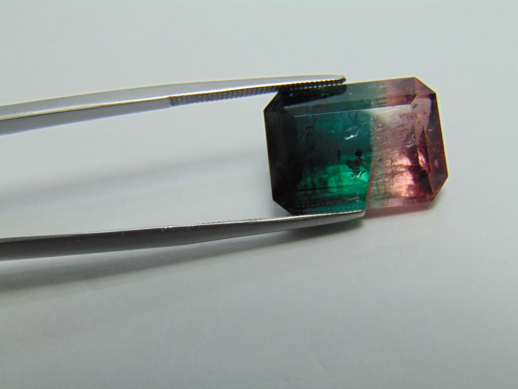 18,05ct Turmalina Bicolor 18x13mm