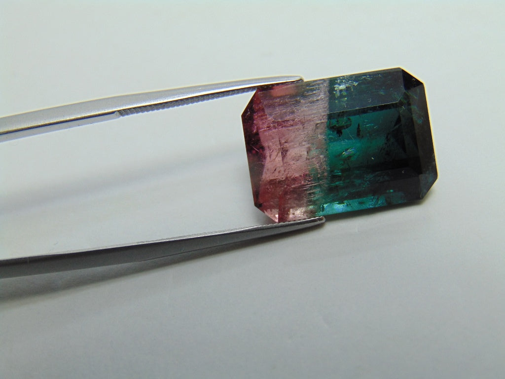 18,05ct Turmalina Bicolor 18x13mm