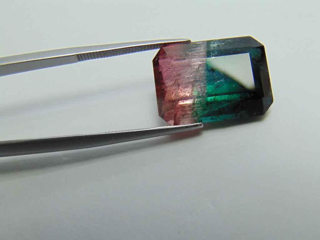 18,05ct Turmalina Bicolor 18x13mm